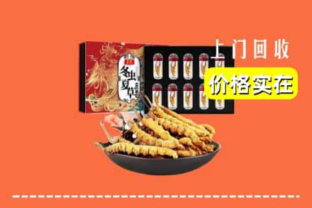 韶关乳源县回收冬虫夏草